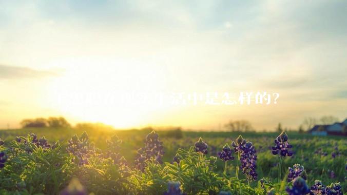 王思聪在现实生活中是怎样的？